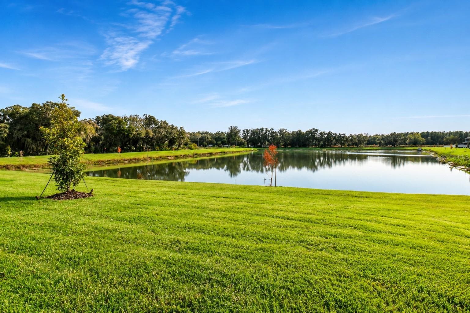Single Family Residence at 38190 SHALE STONE CT, ZEPHYRHILLS, photo 63 of 76