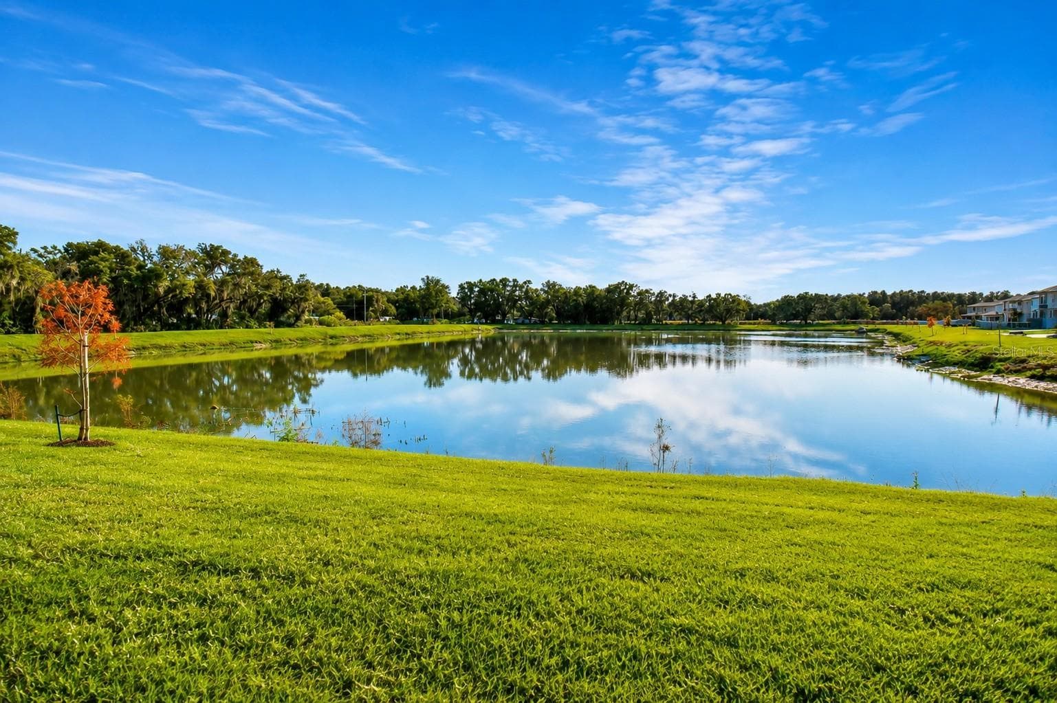 Single Family Residence at 38190 SHALE STONE CT, ZEPHYRHILLS, photo 64 of 76