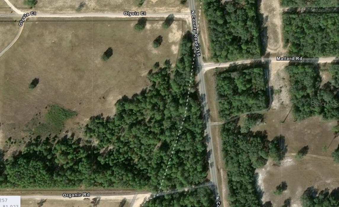 Land at COUNTY ROAD 315C, MELROSE, photo 2 of 2