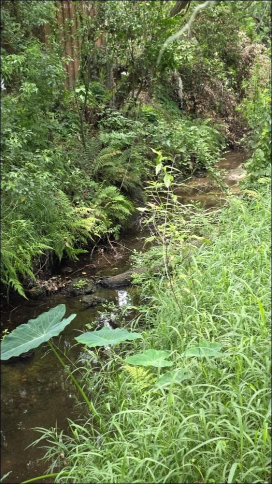 BEAUTIFUL STREAM UNDER MATURE GRAND OAK TREES. - GALLAGHER RD, DOVER