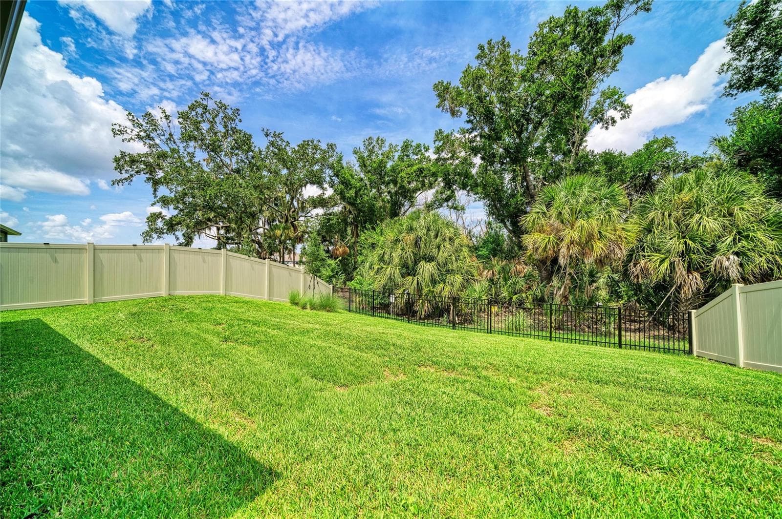 FENCED BACKYARD - 12703 BLUE REFLECTION AVE, PARRISH
