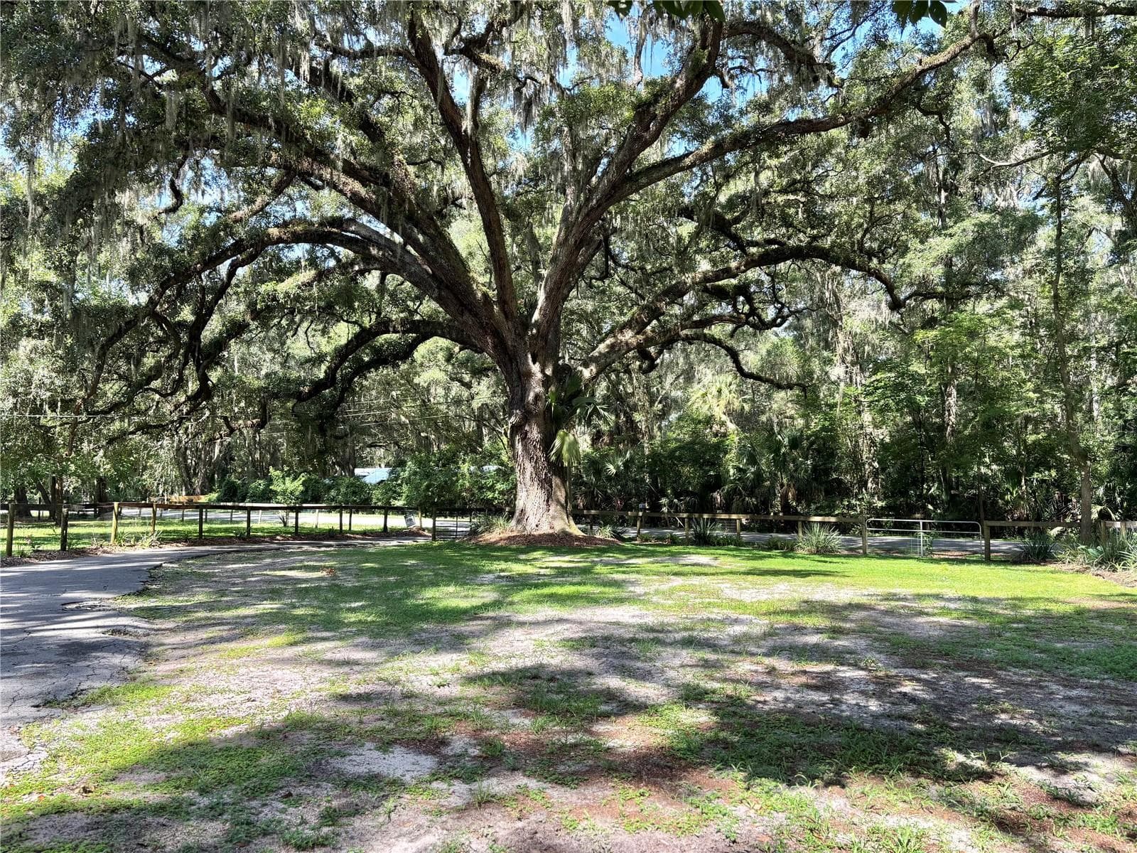 Front yard / pasture 1 - 13565 NE 38TH AVE, ANTHONY