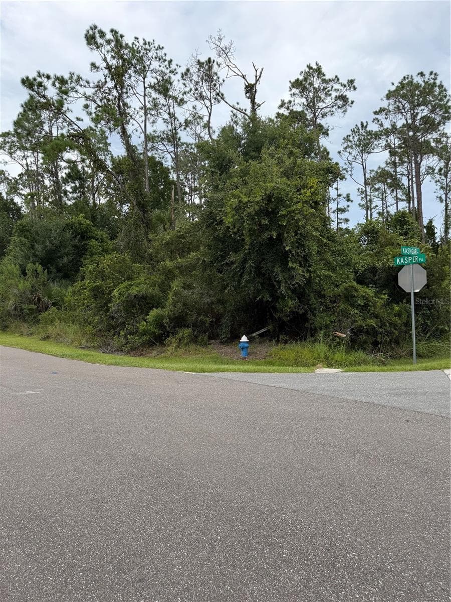 Land at 1 KASHGAR CT, PALM COAST, photo 6 of 8