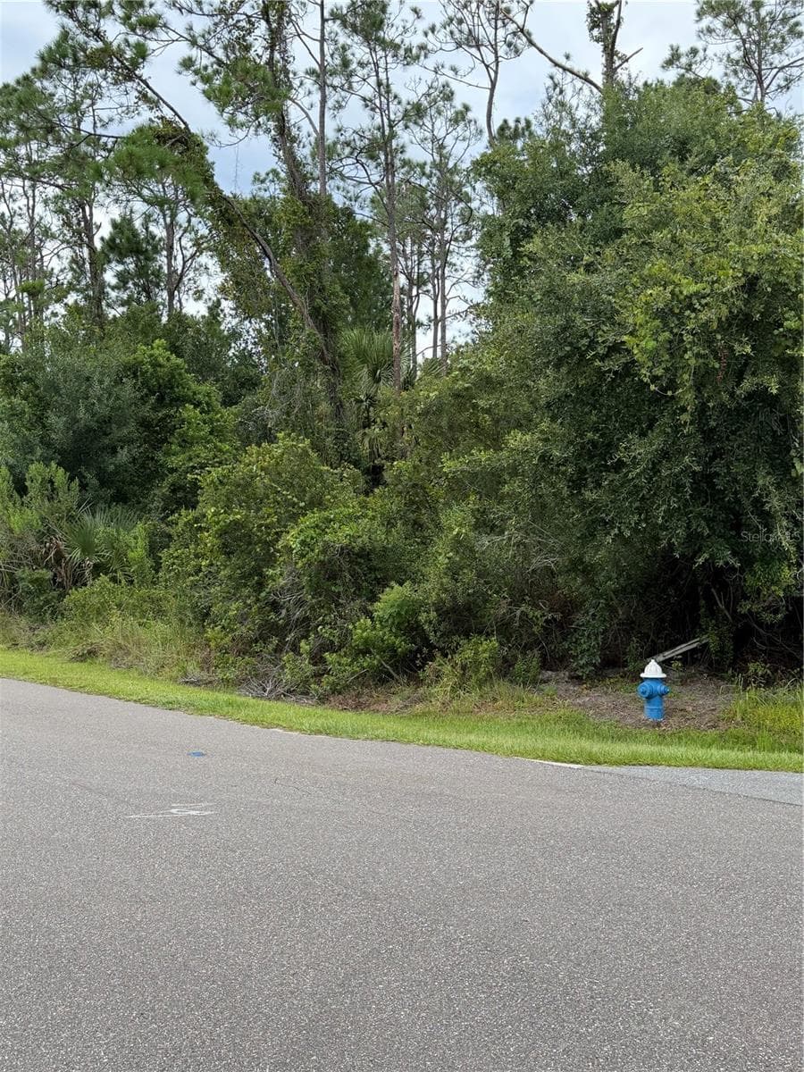 Land at 1 KASHGAR CT, PALM COAST, photo 7 of 8