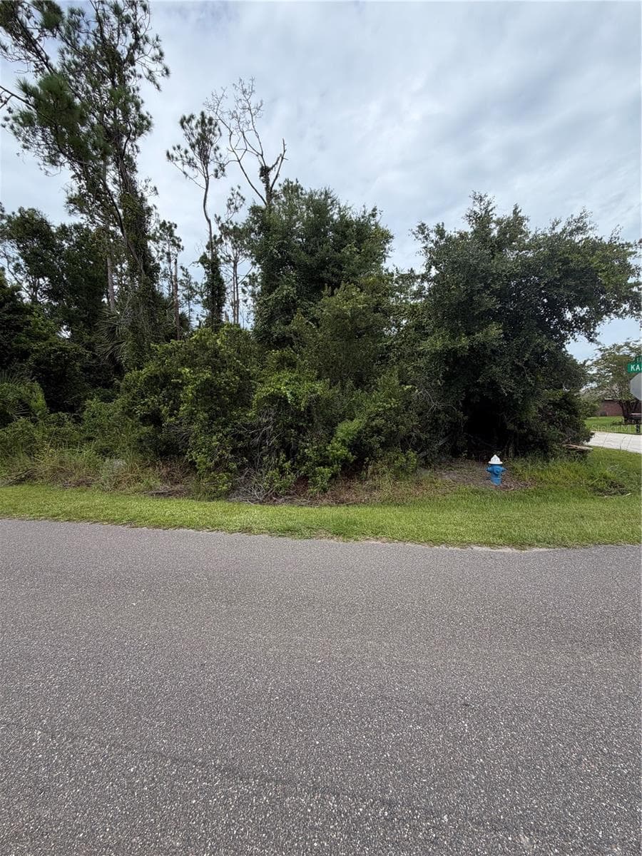 Land at 1 KASHGAR CT, PALM COAST, photo 8 of 8