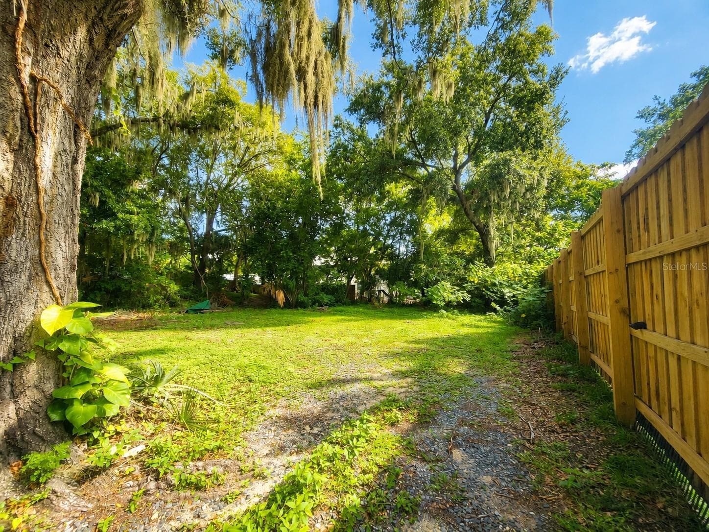 Mixed Use at 617 NE 25TH AVE, OCALA, photo 5 of 15