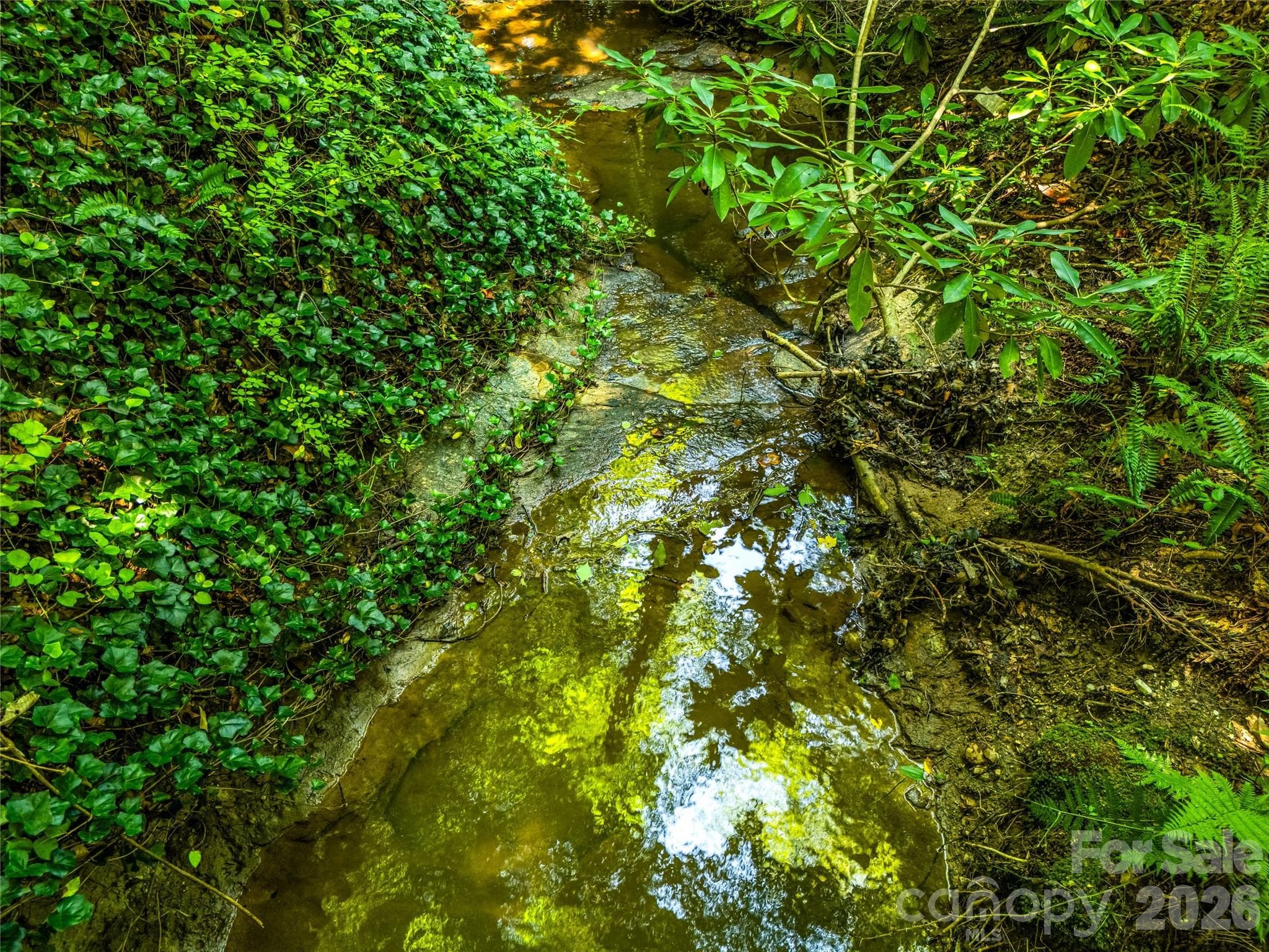 Creek meandoring the property - 70 Promised Ridge Drive, Hendersonville