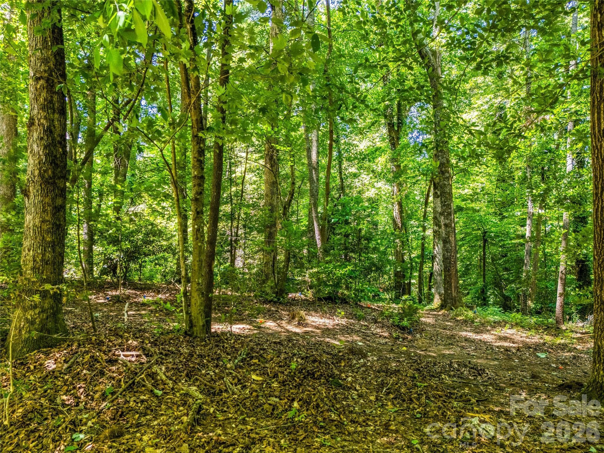 Area of future expansion with soils testing approved for additional structure to be built with 1 bedroom septic - 70 Promised Ridge Drive, Hendersonville