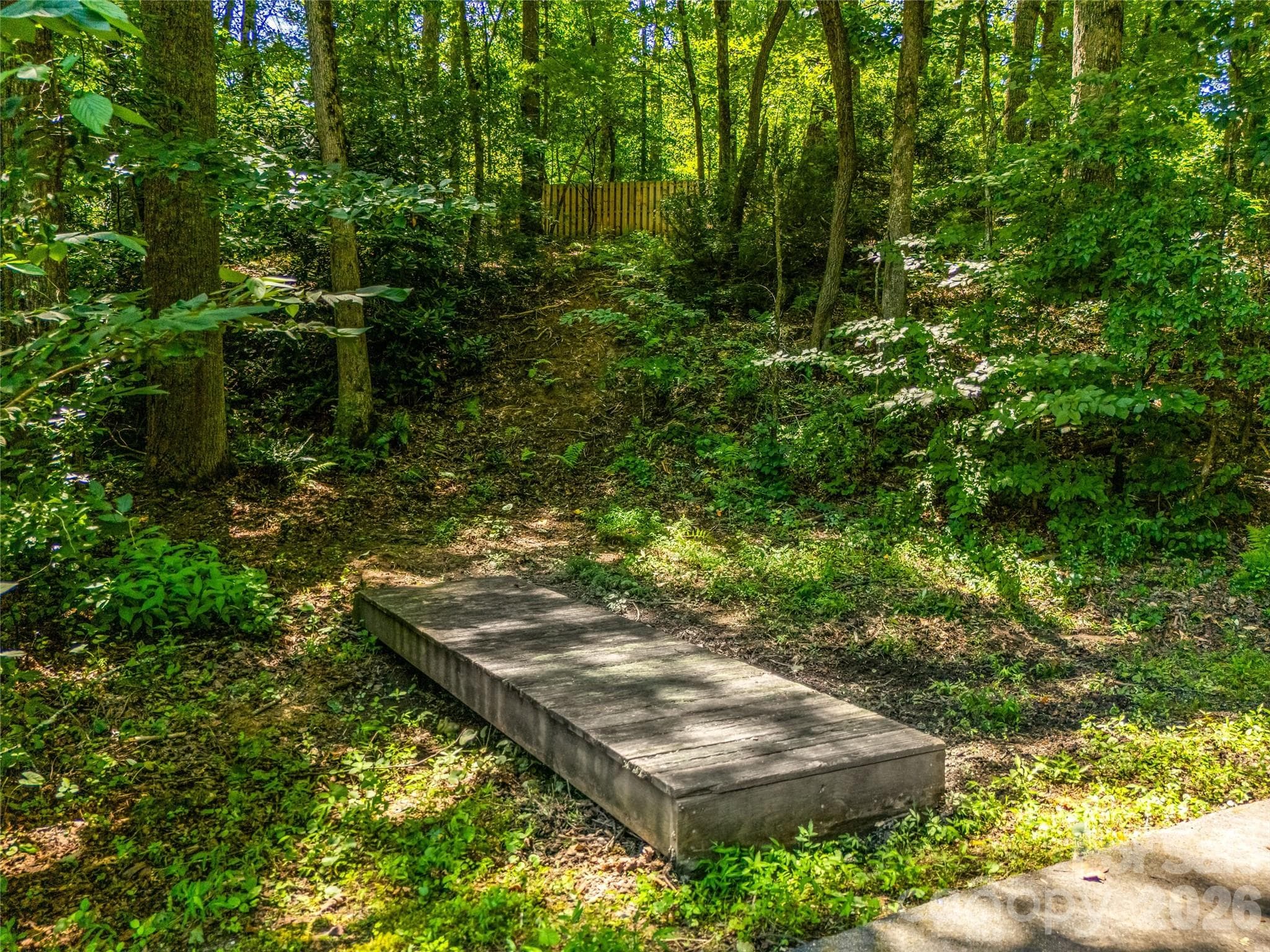Trails throughout the 1.73 acres - 70 Promised Ridge Drive, Hendersonville