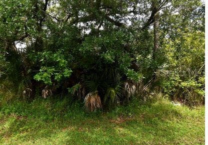 Land at CARVER ST, NORTH PORT, photo 2 of 2