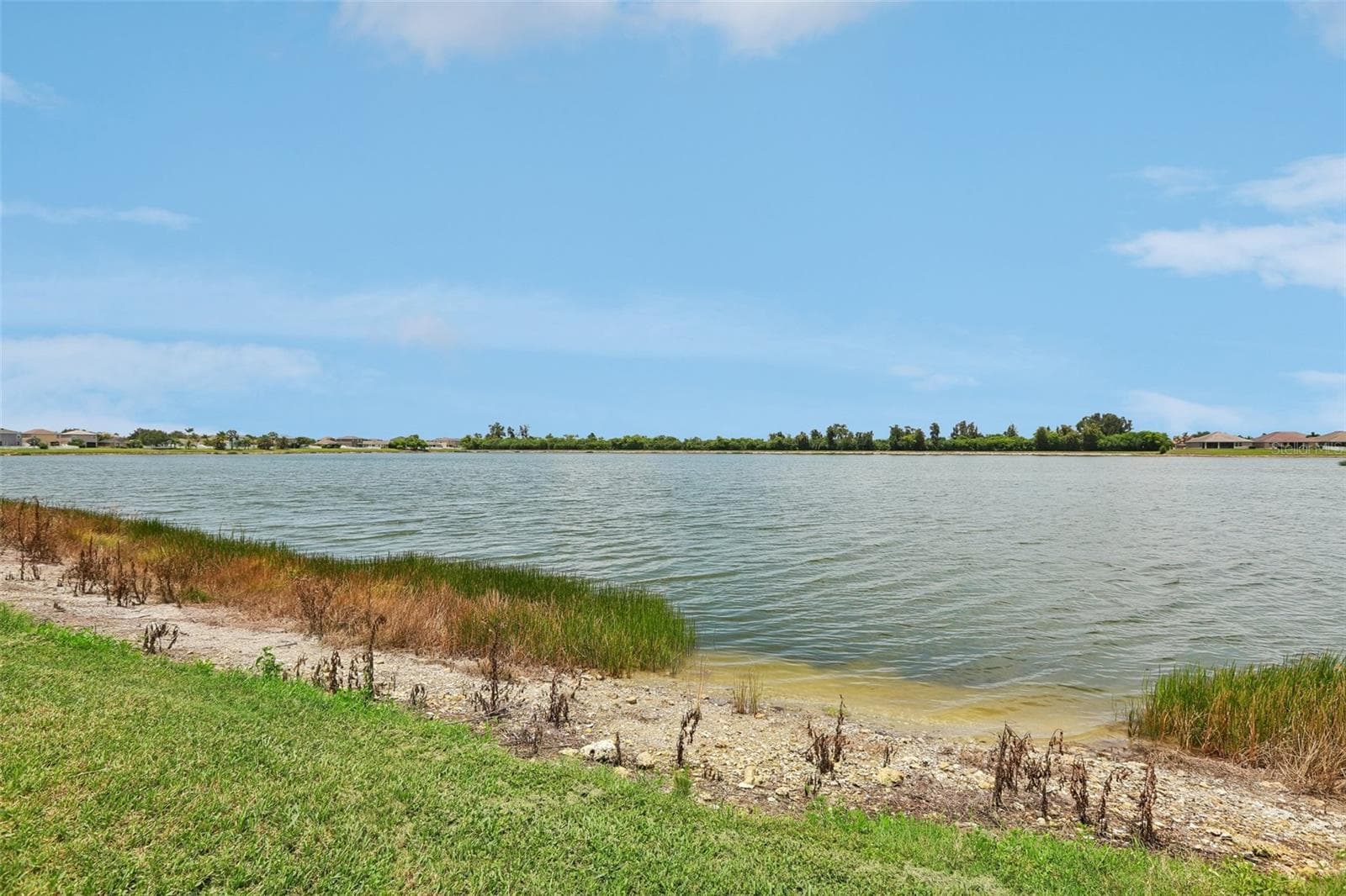 Single Family Residence at 809 SEMINOLE SKY DR, RUSKIN, photo 50 of 63