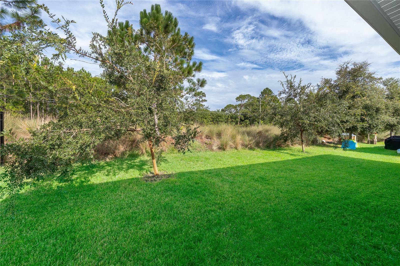 Backyard - 239 LAZIO CIR, DEBARY