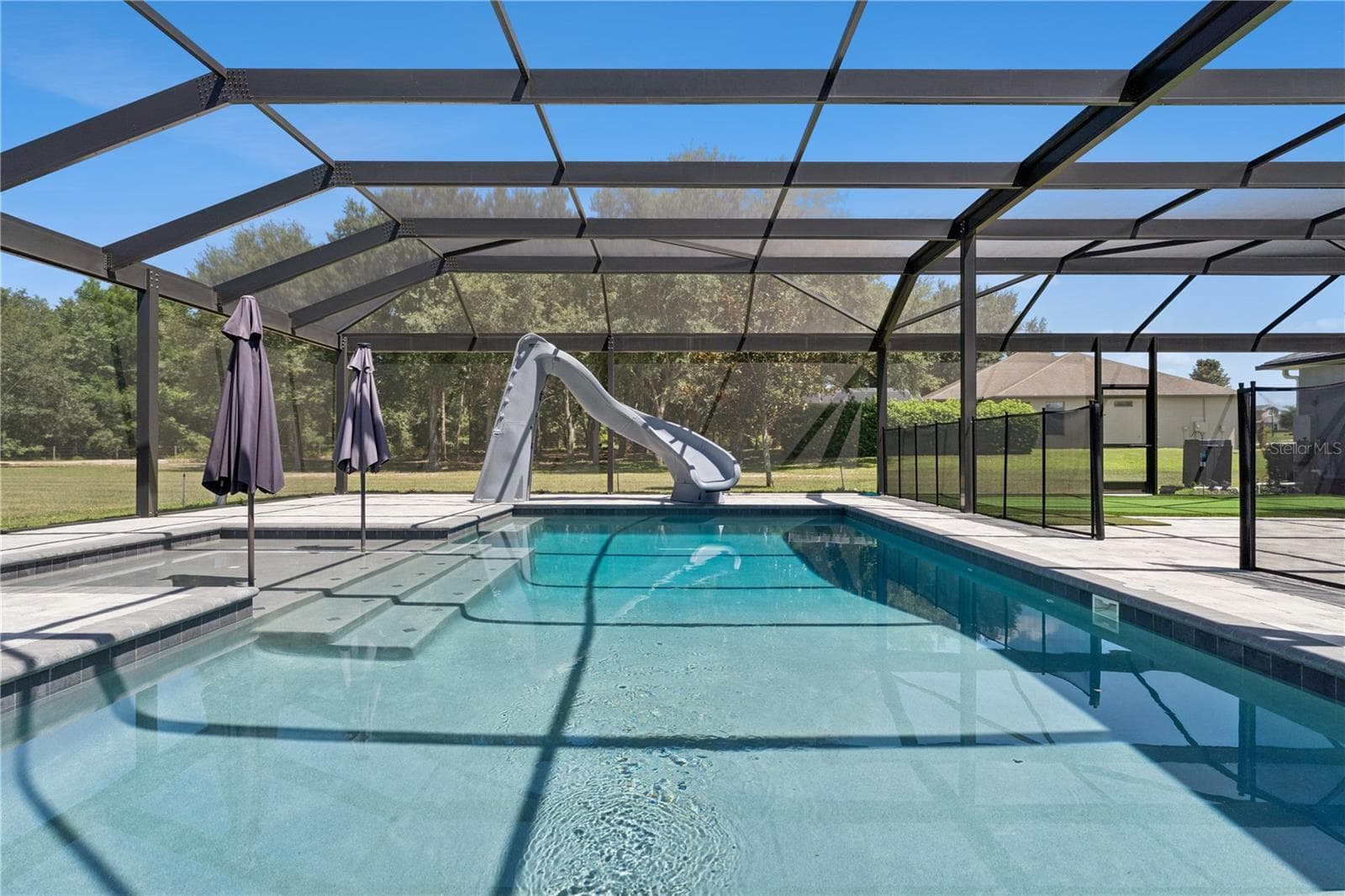 Heated Salt Water Pool - 18145 GREAT BLUE HERON DR, GROVELAND