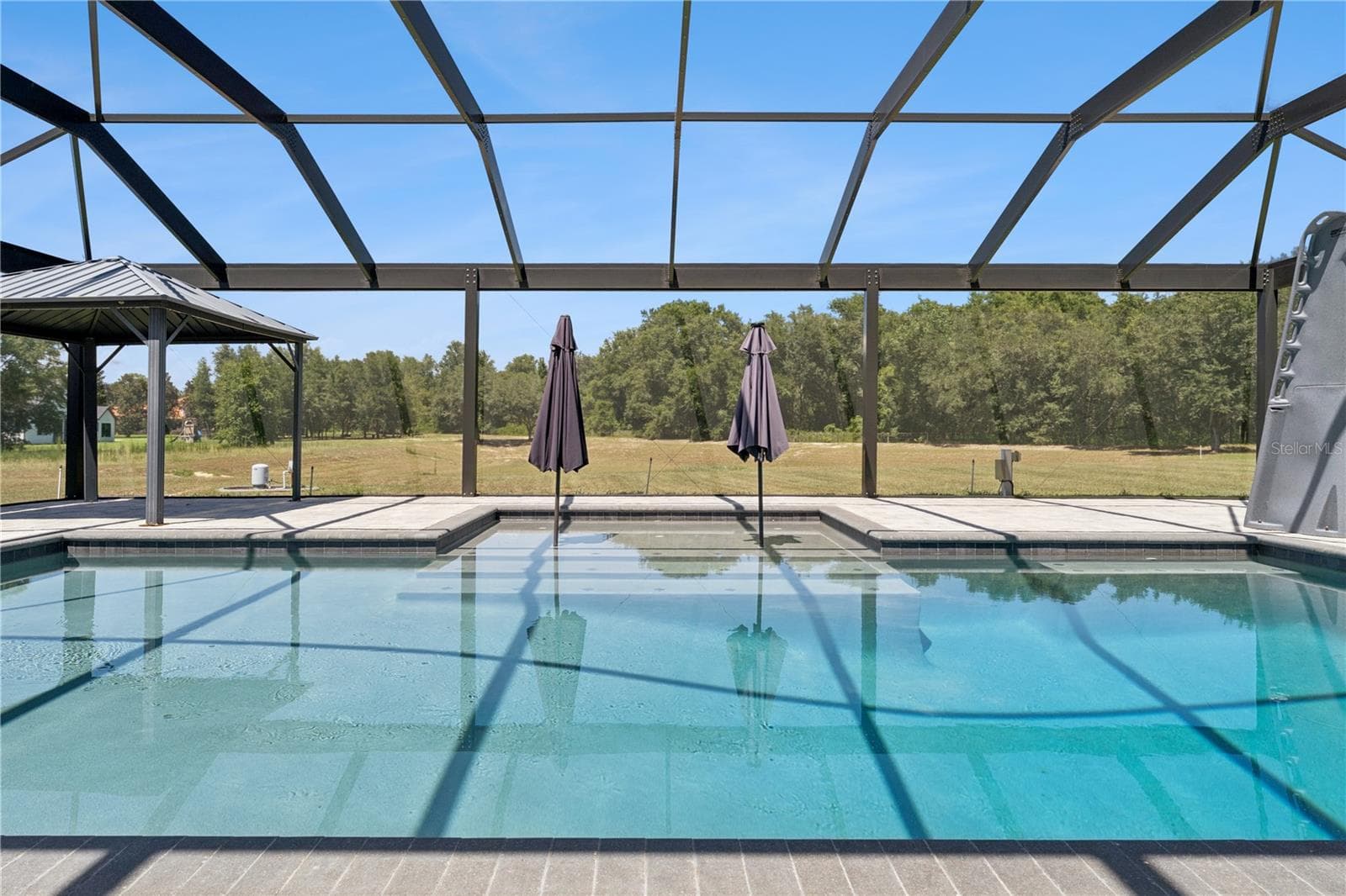 Heated Salt Water Pool - 18145 GREAT BLUE HERON DR, GROVELAND