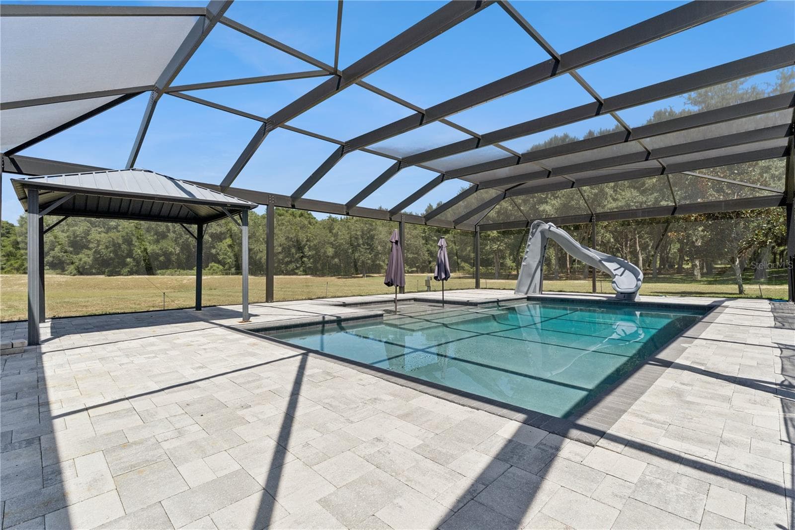 Heated Salt Water Pool - 18145 GREAT BLUE HERON DR, GROVELAND