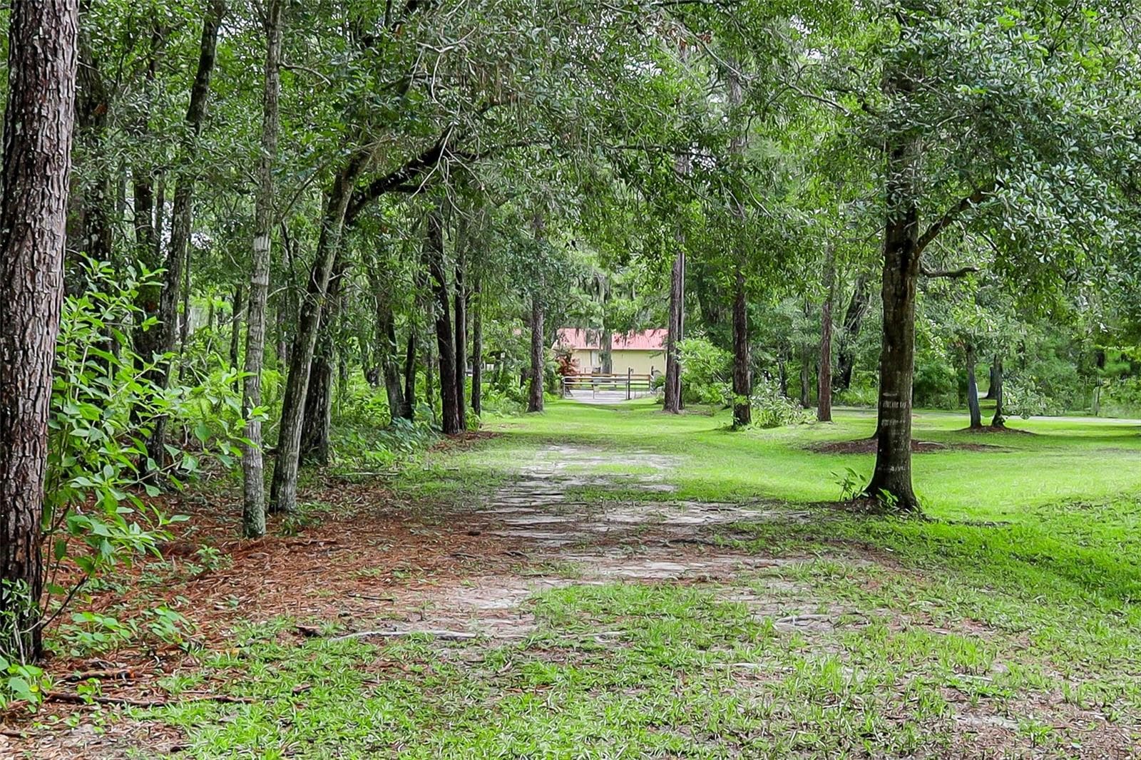 Single Family Residence at 3063 CRUM RD, BROOKSVILLE, photo 12 of 58