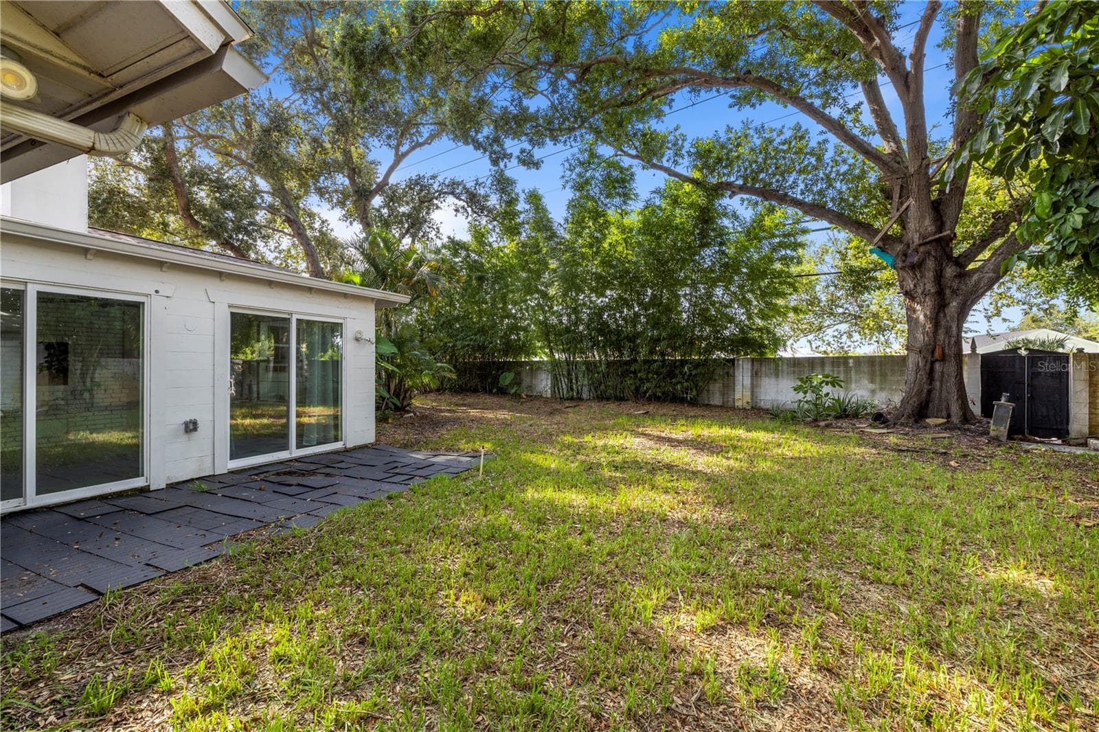 Backyard - 13589 101ST TER, SEMINOLE