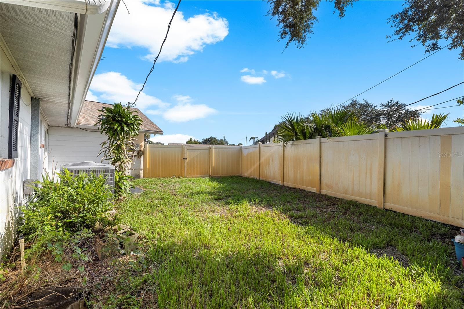 Backyard - 13589 101ST TER, SEMINOLE