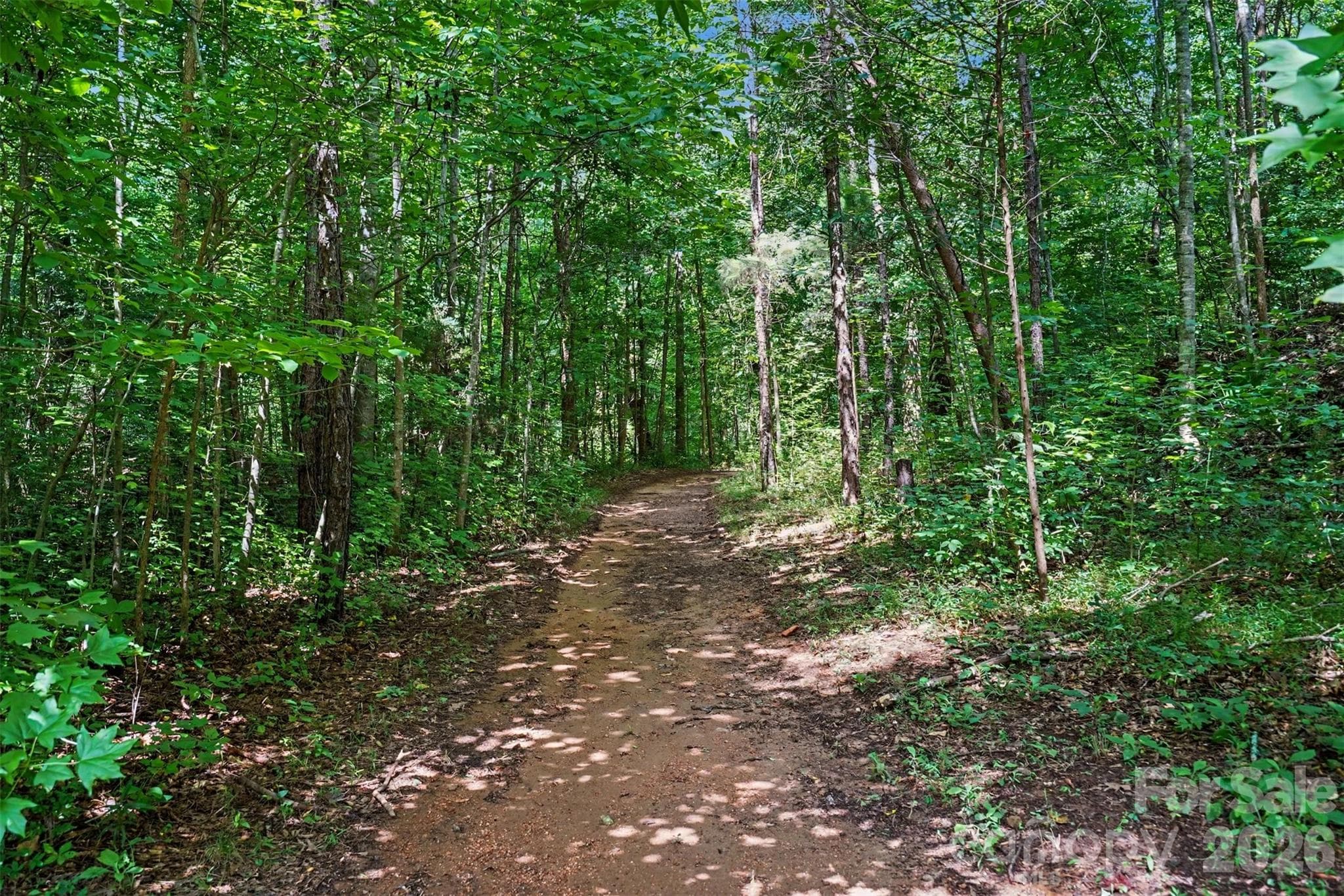 ATV trail - 1206 Alberto Lane, Stanley
