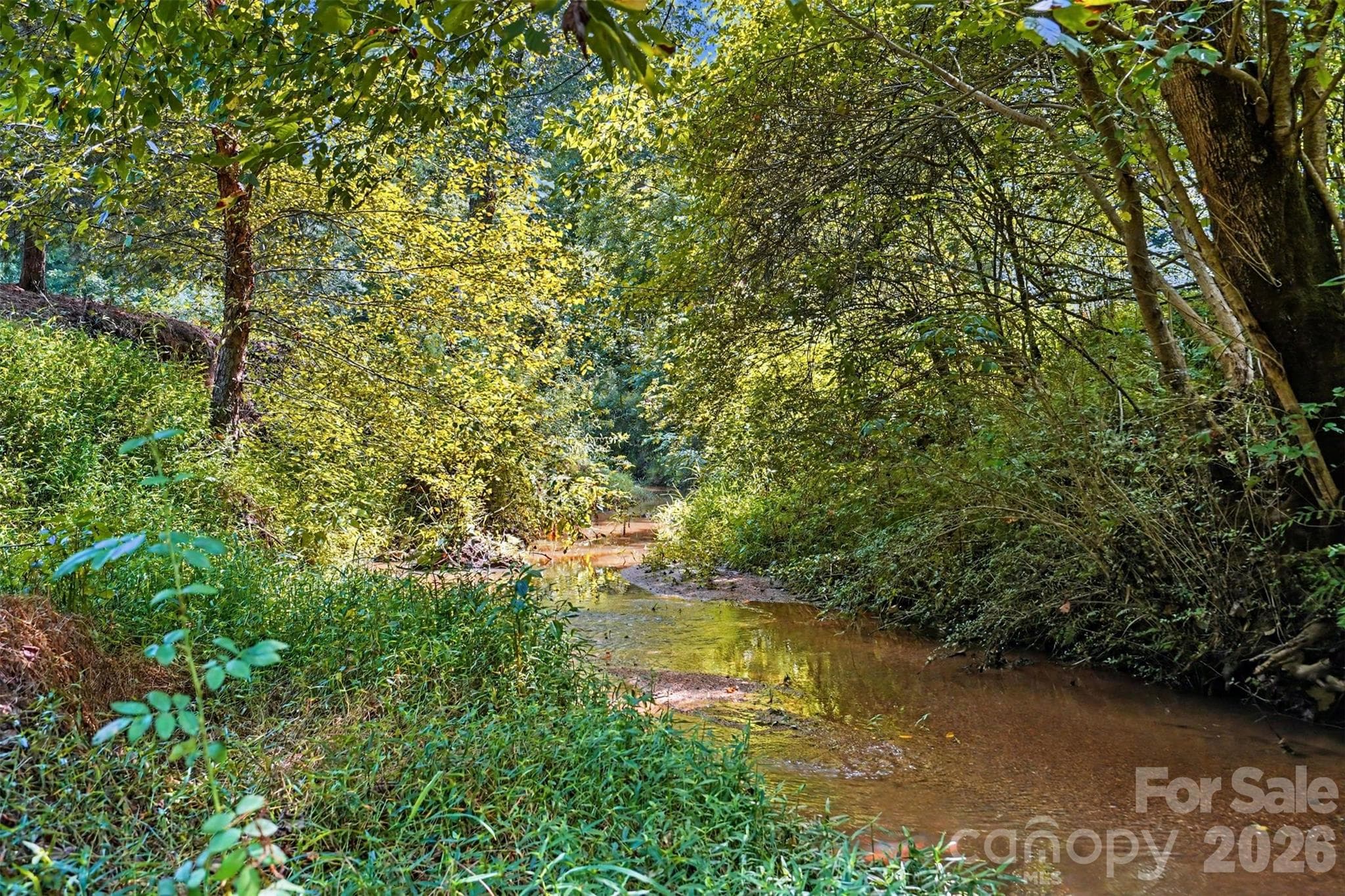 Creek - 1206 Alberto Lane, Stanley