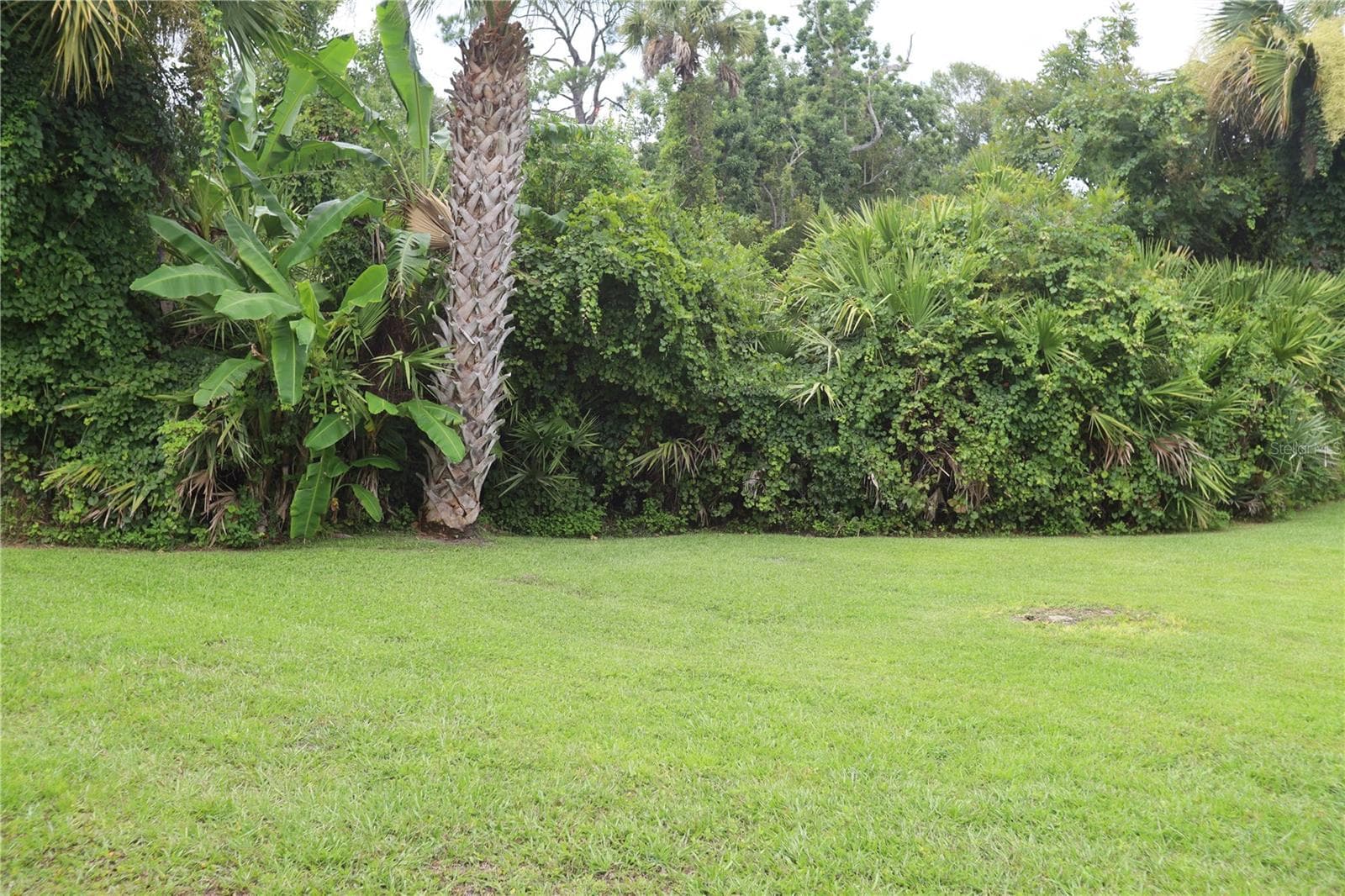 Backyard Area - 54 FOREST RD #54, FLAGLER BEACH