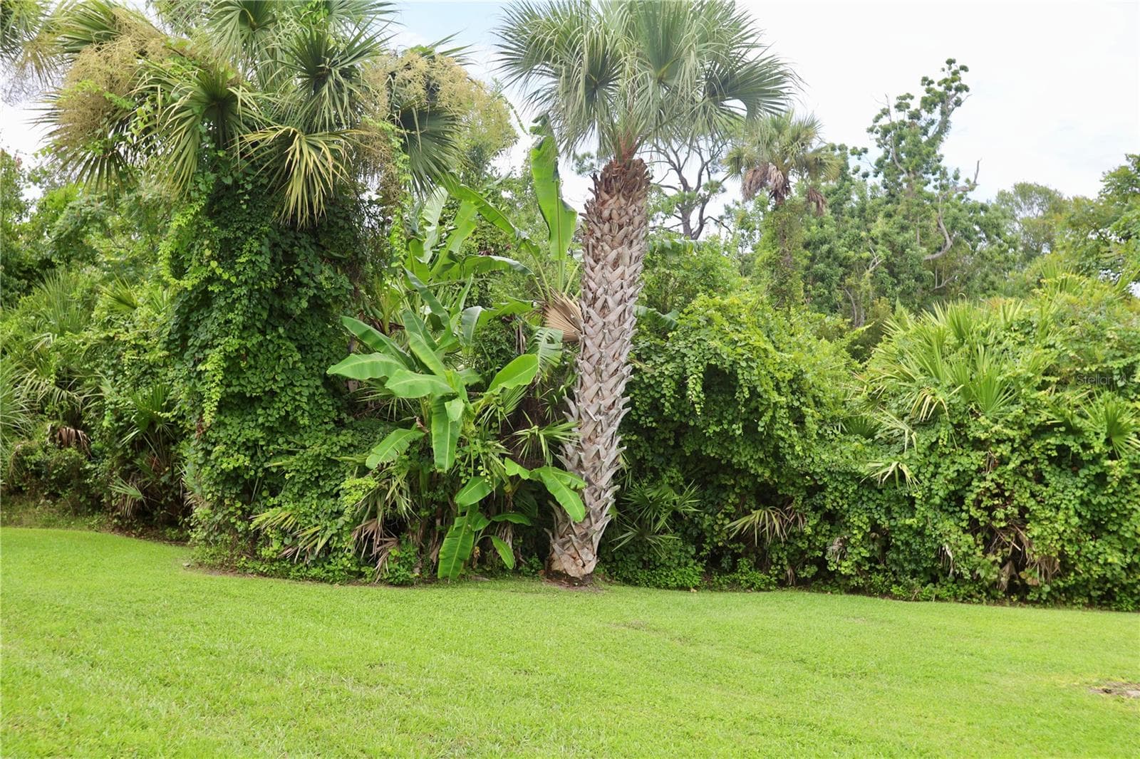 Townhouse at 54 FOREST RD #54, FLAGLER BEACH, photo 17 of 30
