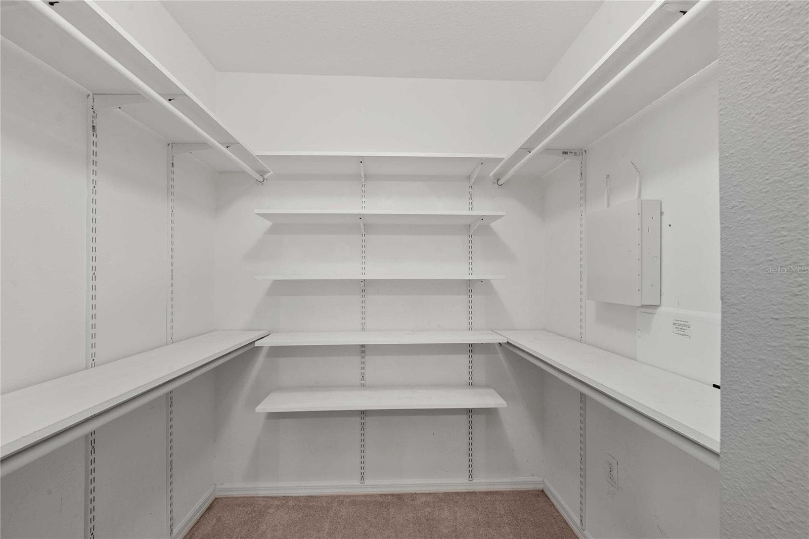 Walk-in Primary closet with shelving - 14423 FINSBURY DR, SPRING HILL
