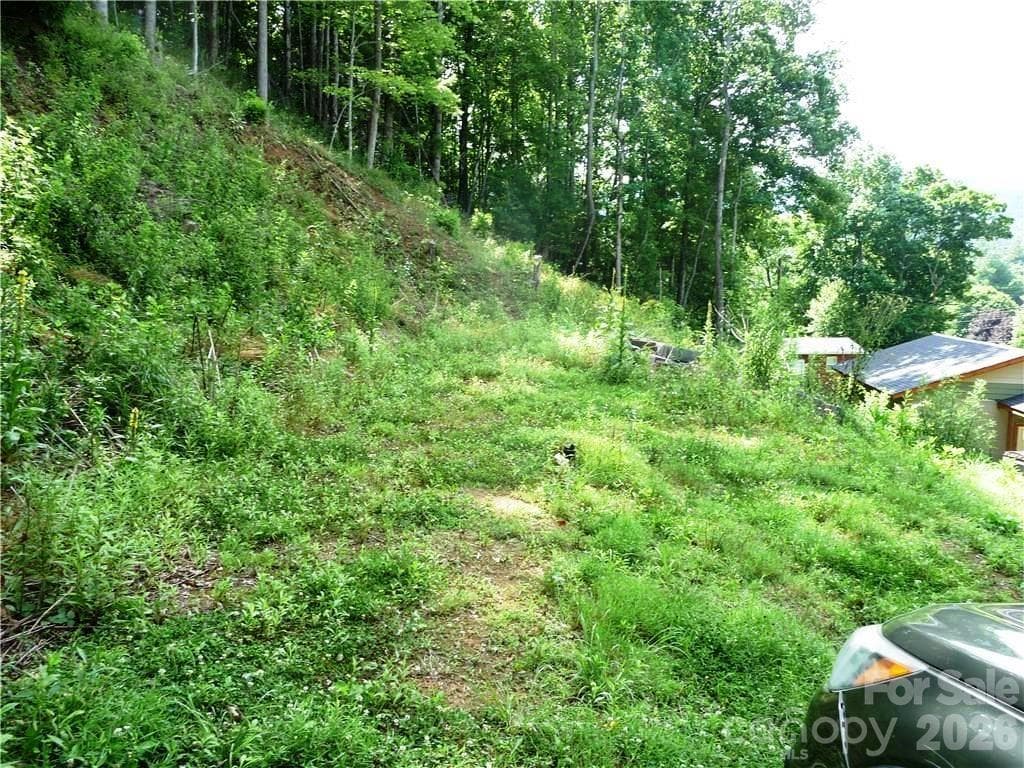870 Bairds Creek Road