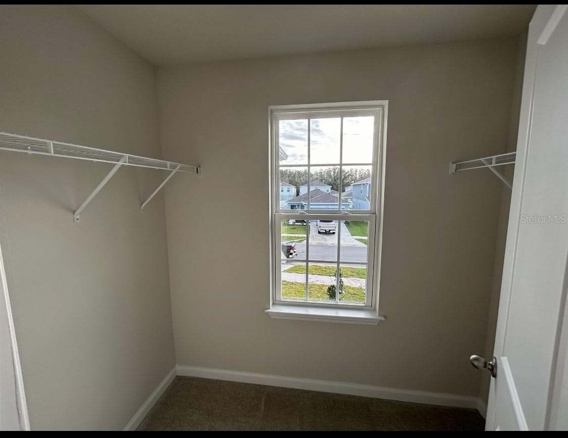 walk in closet - 11931 THORNCREST DR, SPRING HILL