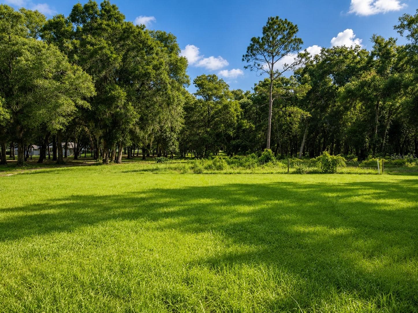 Land at GRASS ROOTS RD, GROVELAND, photo 13 of 13