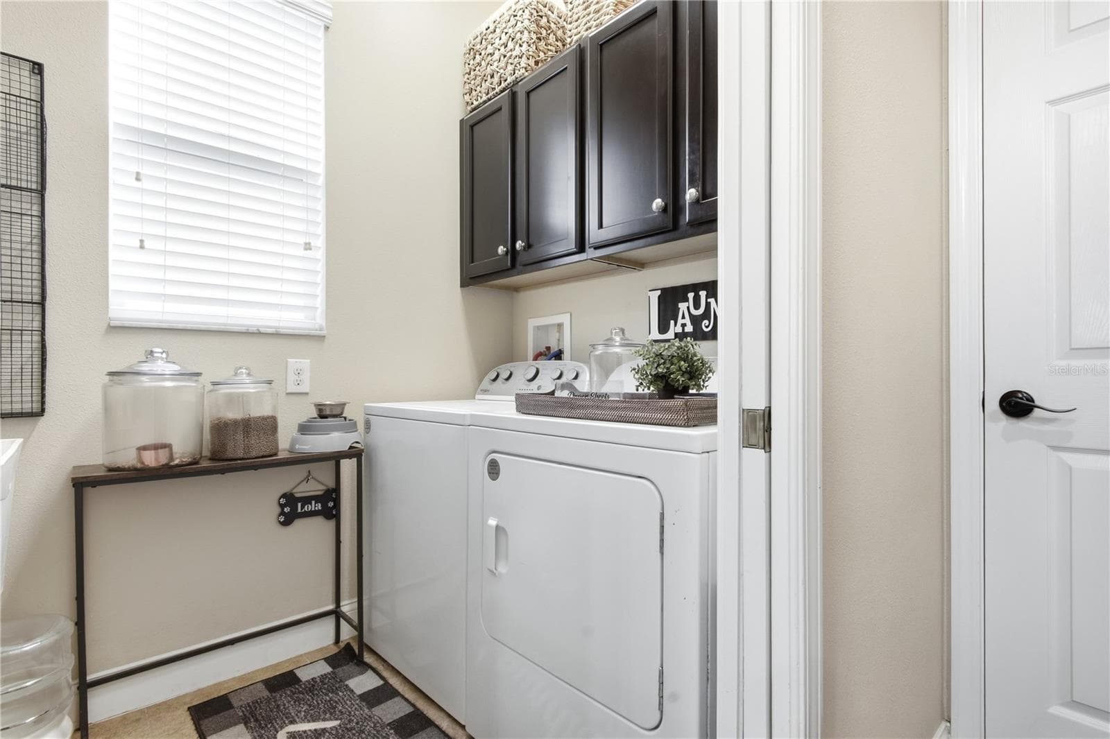 Laundry Room - 3431 DIAMOND FALLS CIR, LAND O LAKES