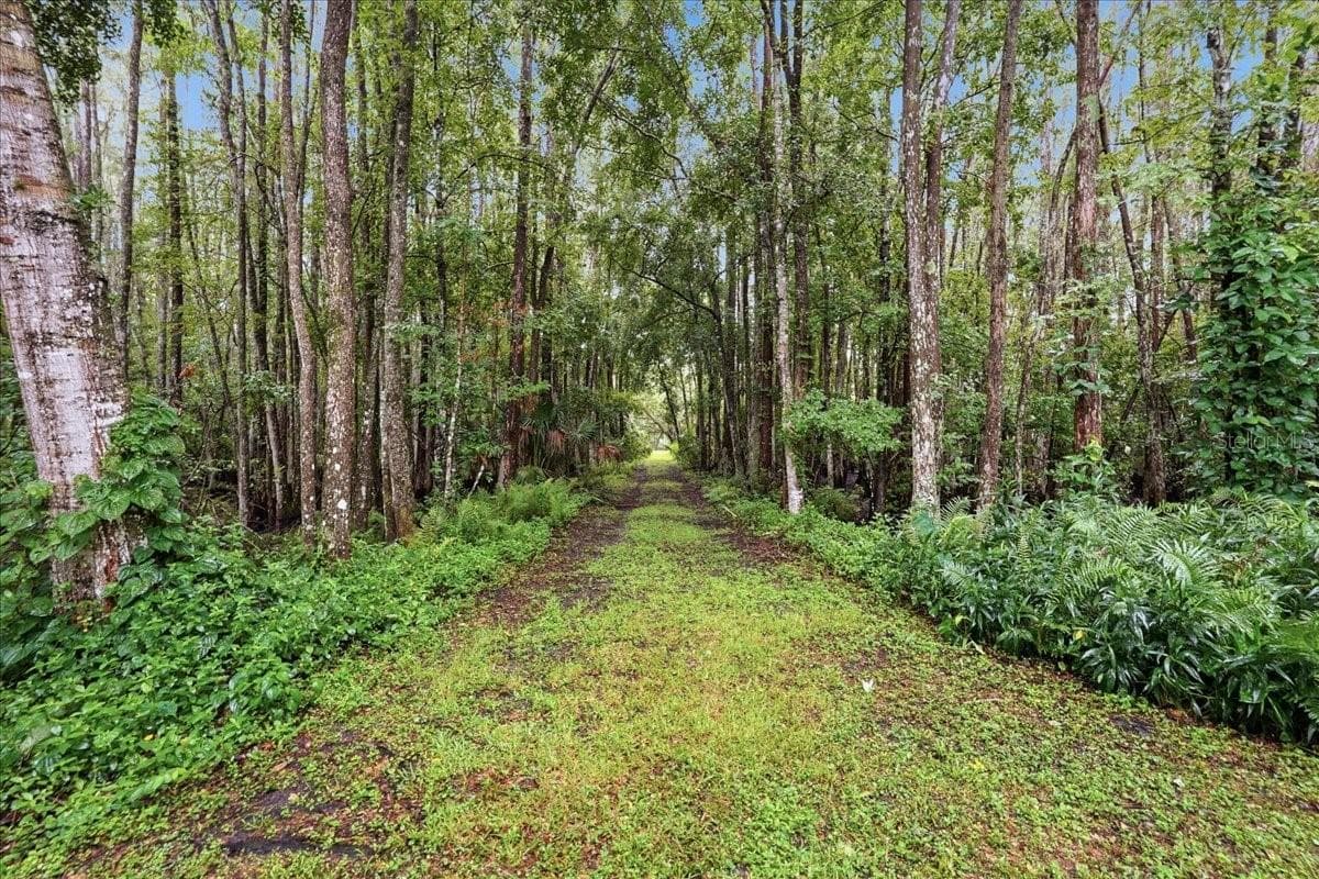 Single Family Residence at 3500 OLD KEYSTONE RD, TARPON SPRINGS, photo 52 of 97
