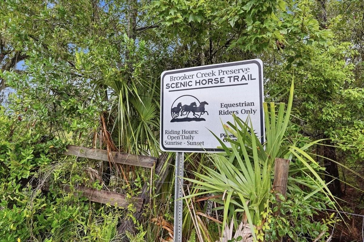 Brooker Creek Preserve Horse riding Trail - 3500 OLD KEYSTONE RD, TARPON SPRINGS