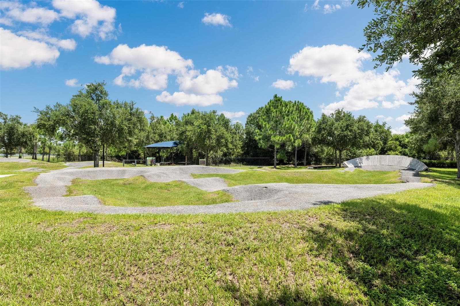 Single Family Residence at 4801 BALLANTRAE BLVD, LAND O LAKES, photo 87 of 101