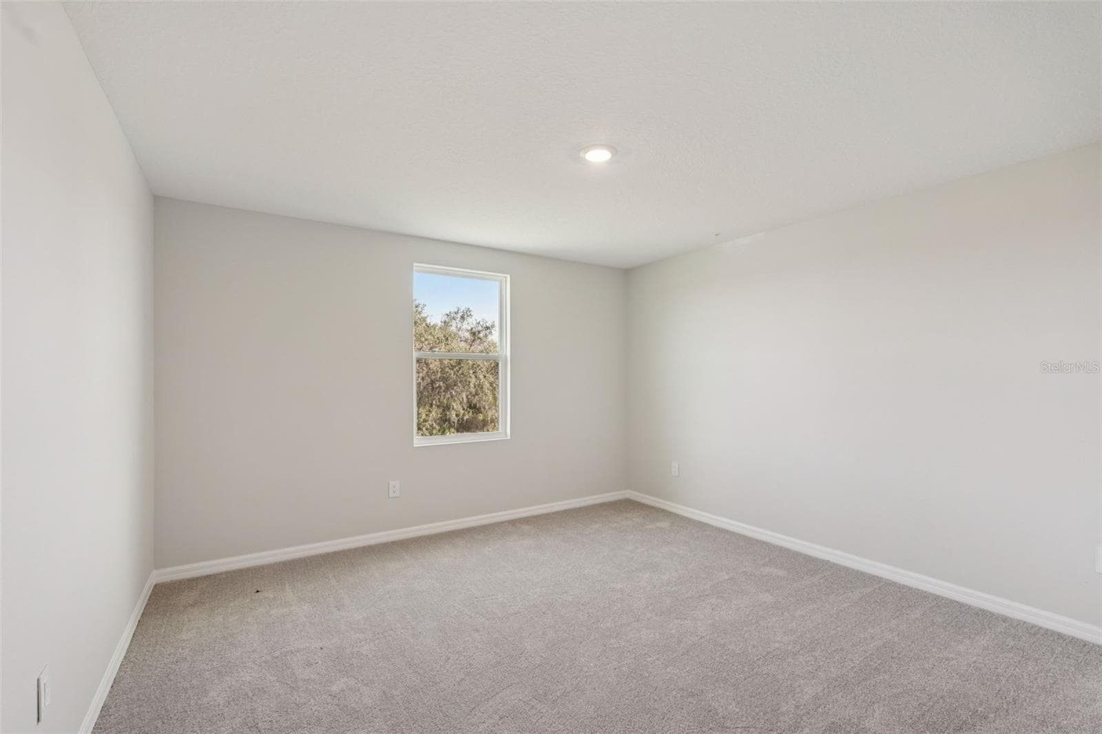 Representative images and renderings are for illustrative purposes. Actual structural options and design finishes of home may vary. - 2909 CITRUS GROVE STREET, WIMAUMA