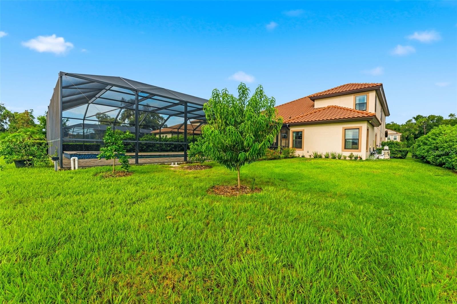 Single Family Residence at 10370 MEADOWRUN DR, LITHIA, photo 66 of 75