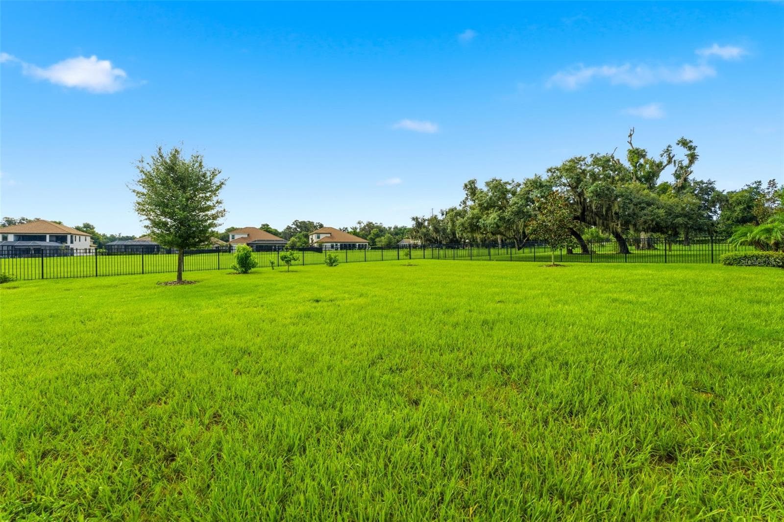 Single Family Residence at 10370 MEADOWRUN DR, LITHIA, photo 68 of 75