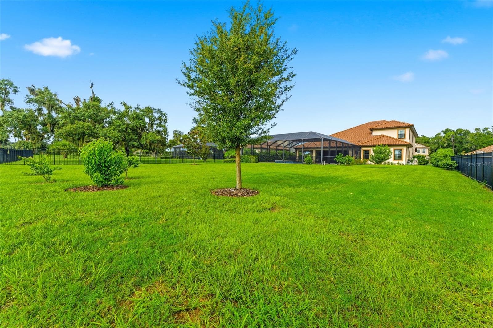 Single Family Residence at 10370 MEADOWRUN DR, LITHIA, photo 69 of 75