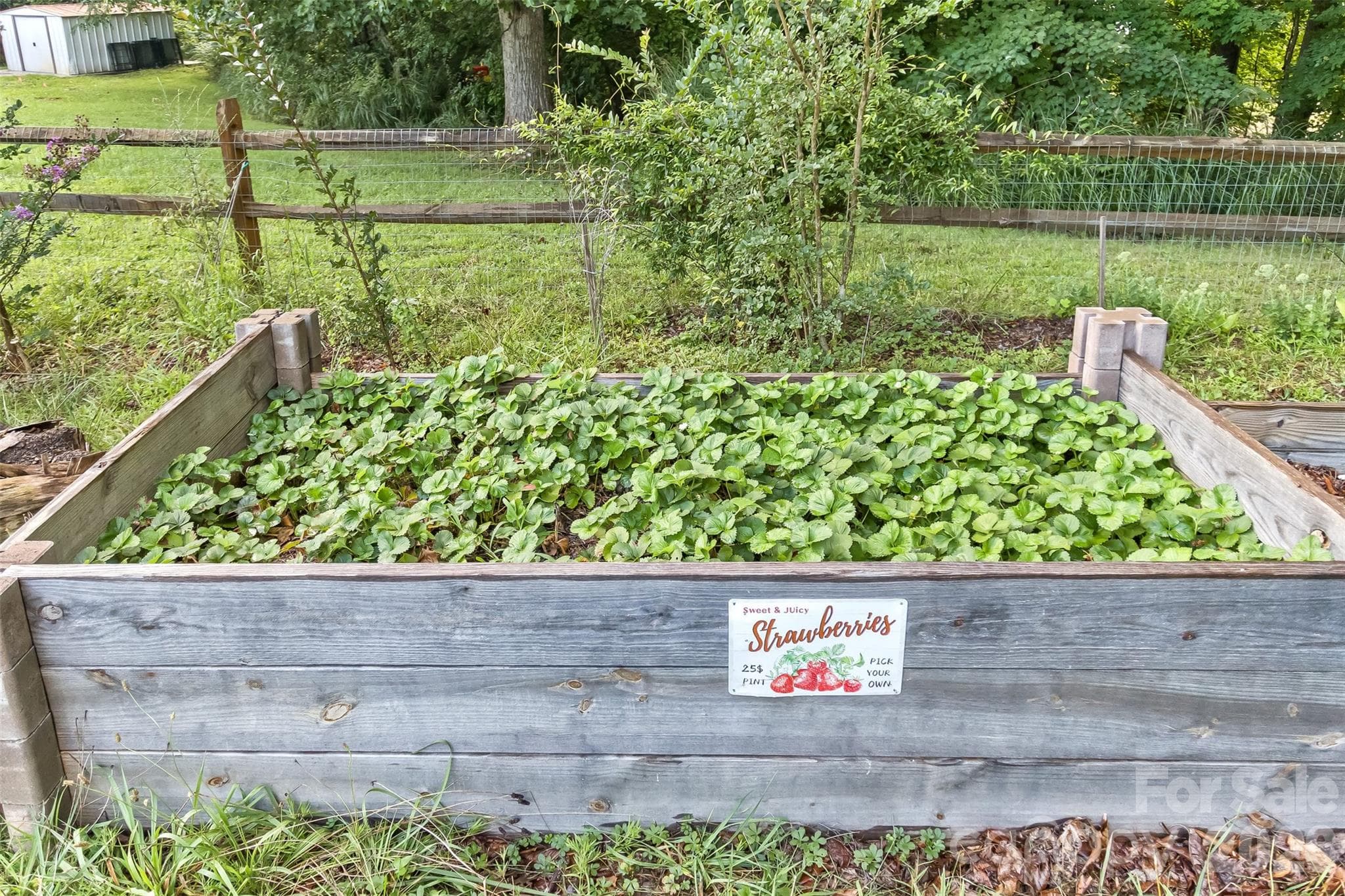Raised bed in the garden for fruits or veggies - 25 Asa Court, Black Mountain