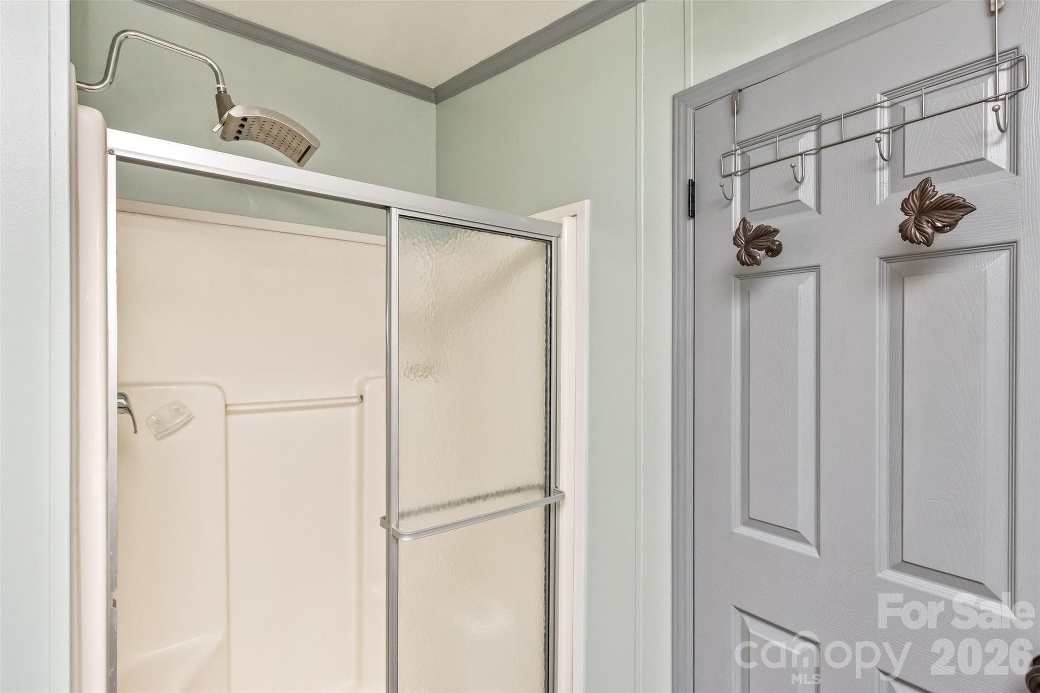 Primary bath walk-in shower - 25 Asa Court, Black Mountain