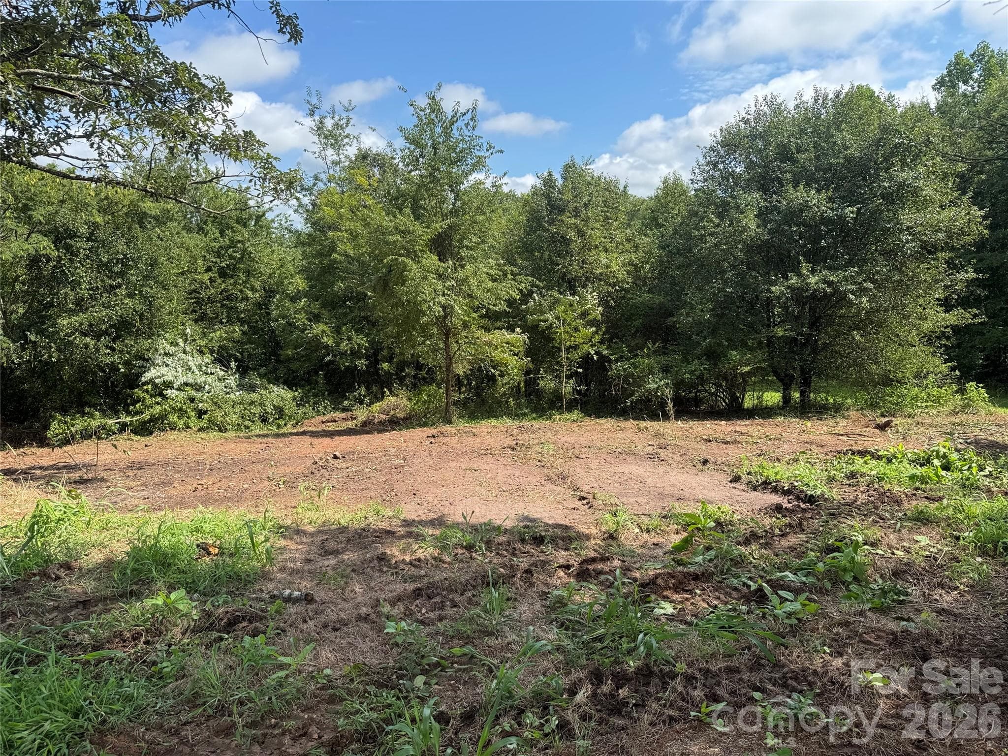 backyard - 3812 Cliffside Road, Mooresboro