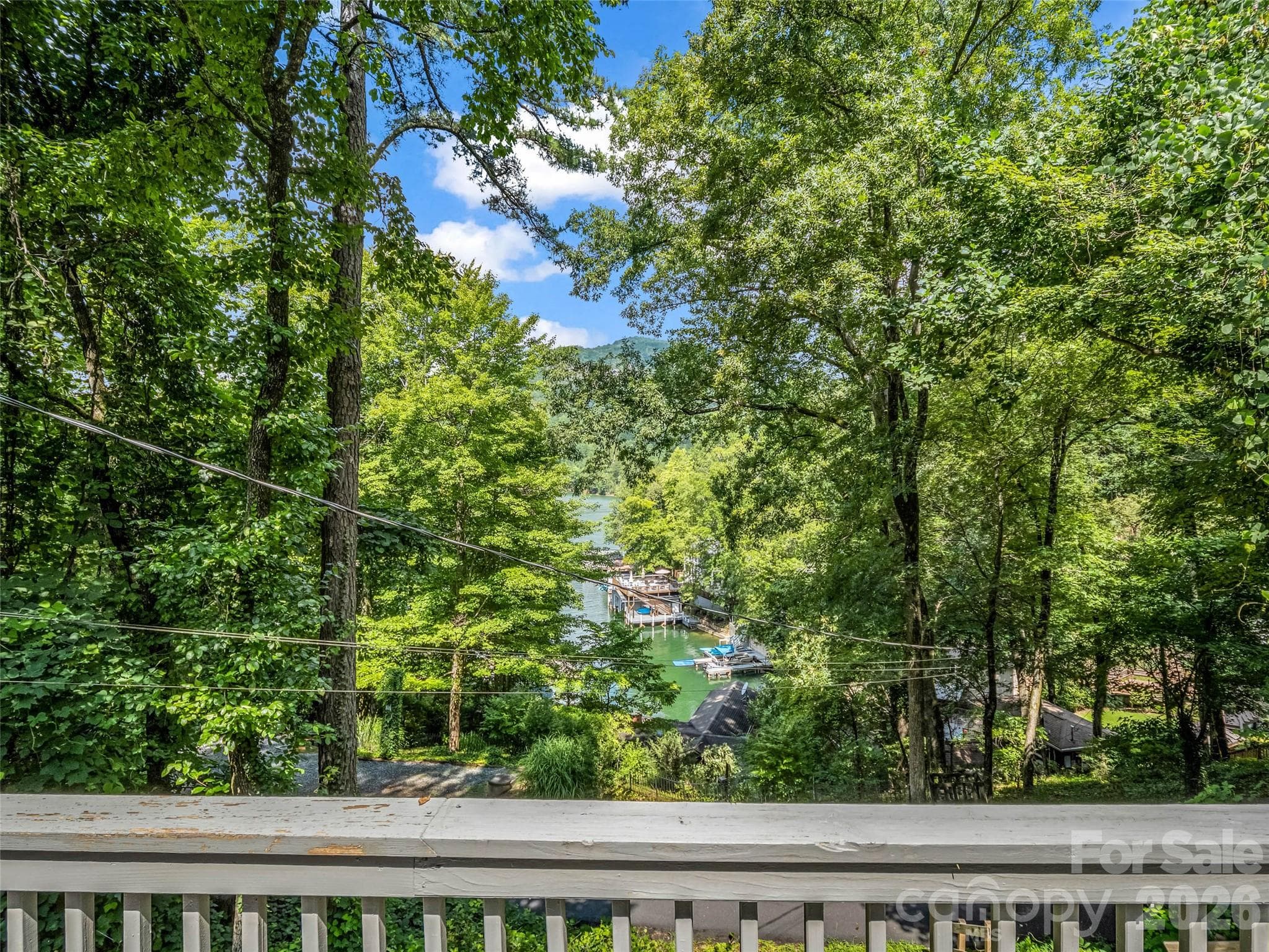 Single Family Residence at 239 Havnaers Point, Lake Lure, photo 32 of 43