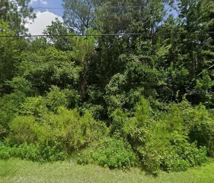 Land at 00 LAKE DR, NEW PORT RICHEY, photo 2 of 2