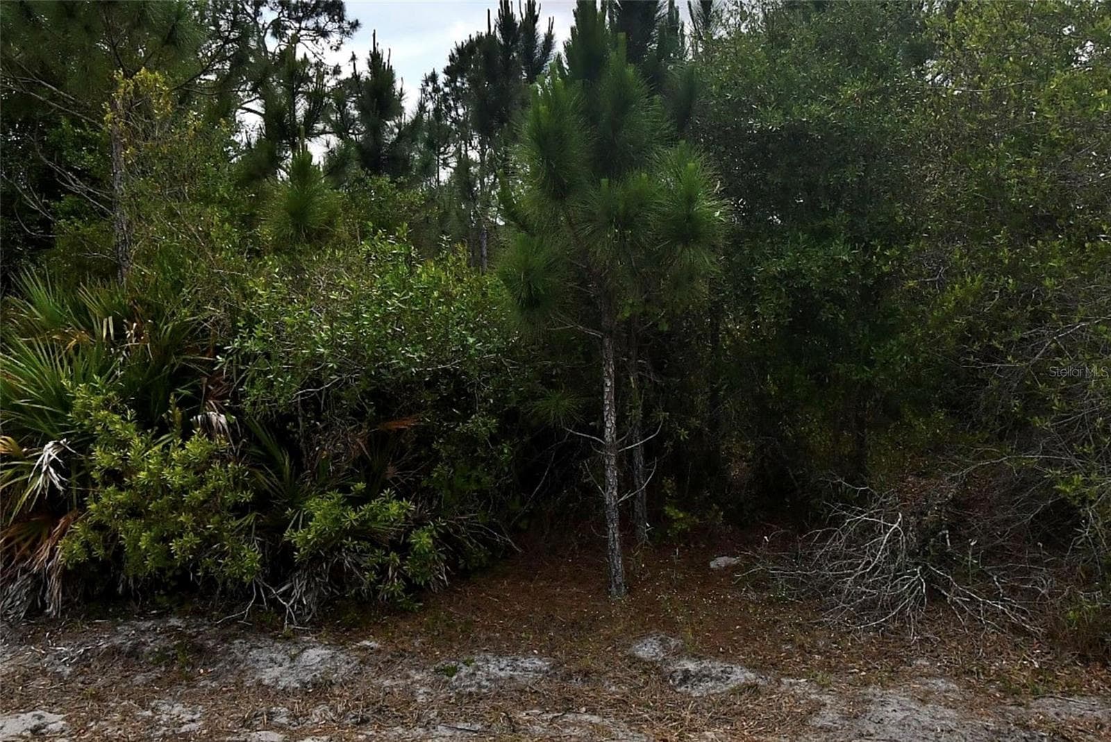Land at TBD SIMCA LN, NORTH PORT, photo 2 of 3
