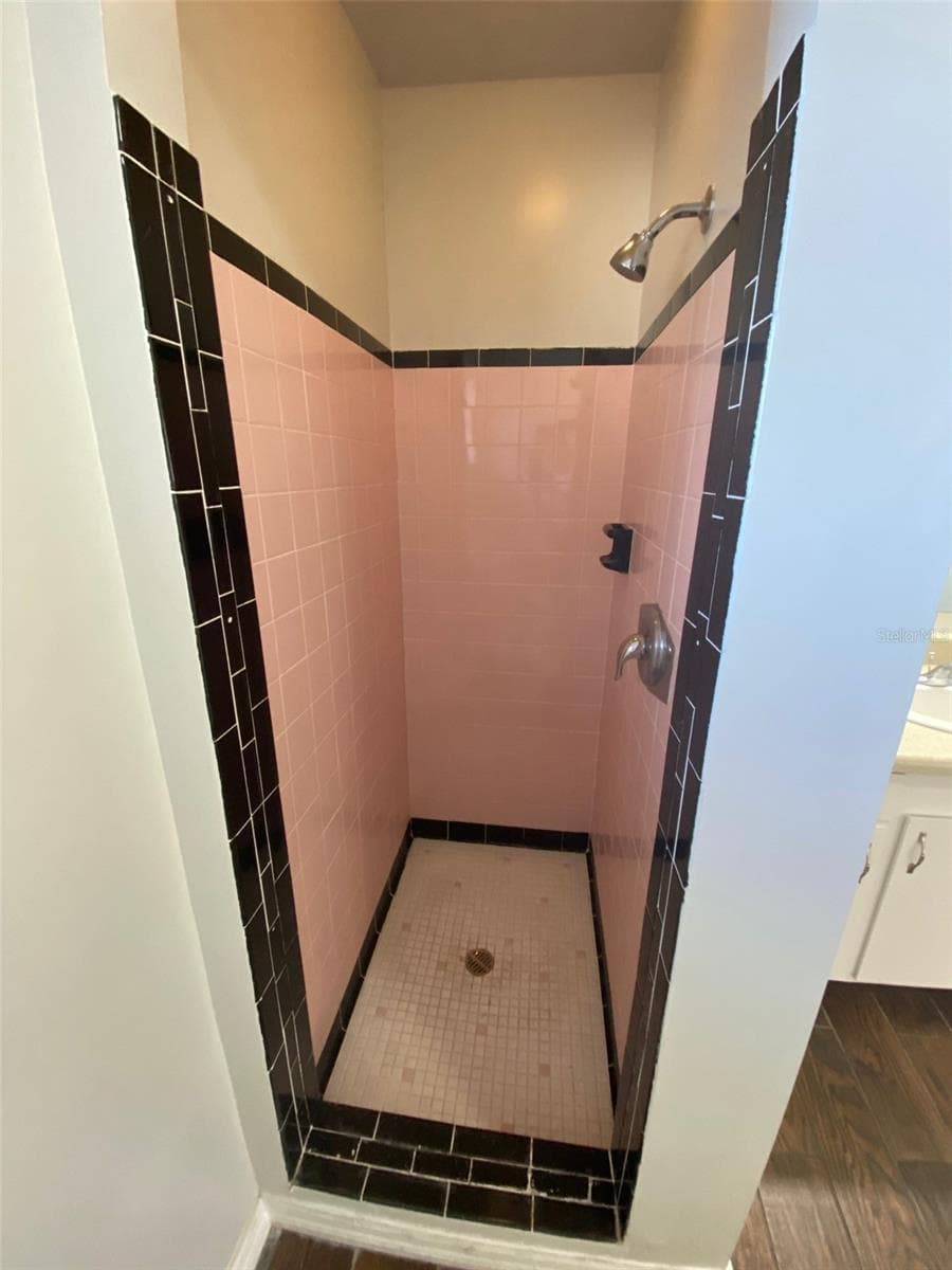 Primary Shower - 803 HASELTON ST, EUSTIS