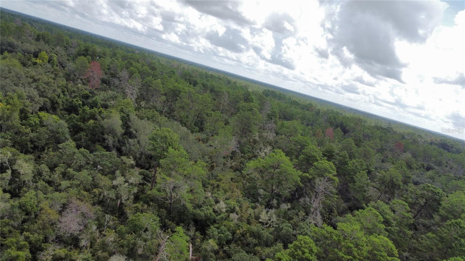Land at ST CLAIRE LAKE DR, DELAND, photo 11 of 17