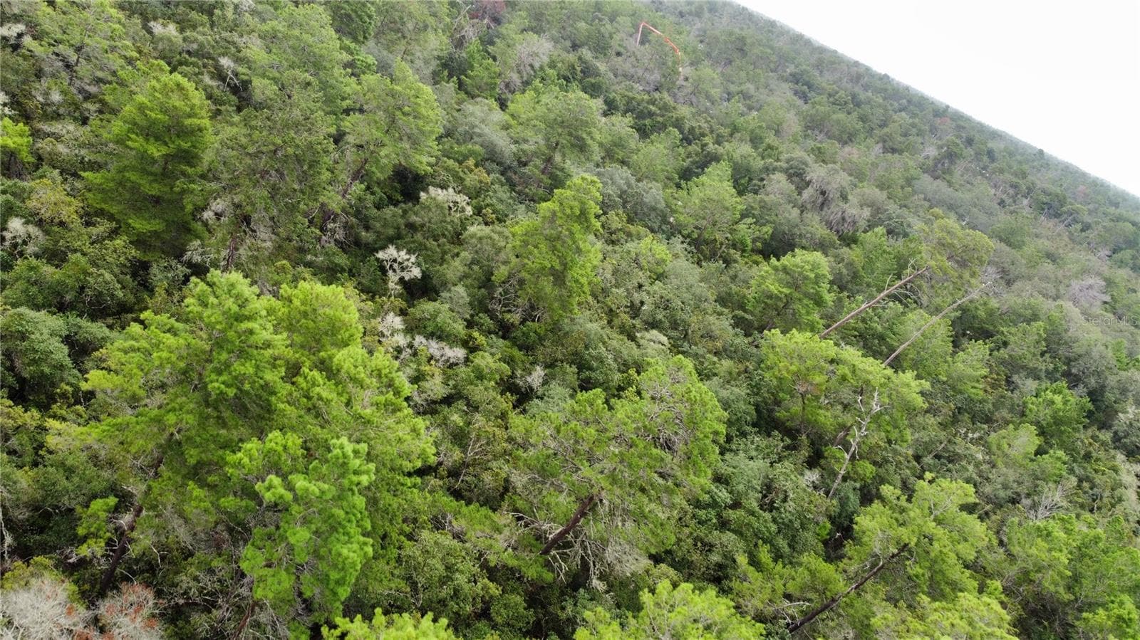 Land at ST CLAIRE LAKE DR, DELAND, photo 14 of 17