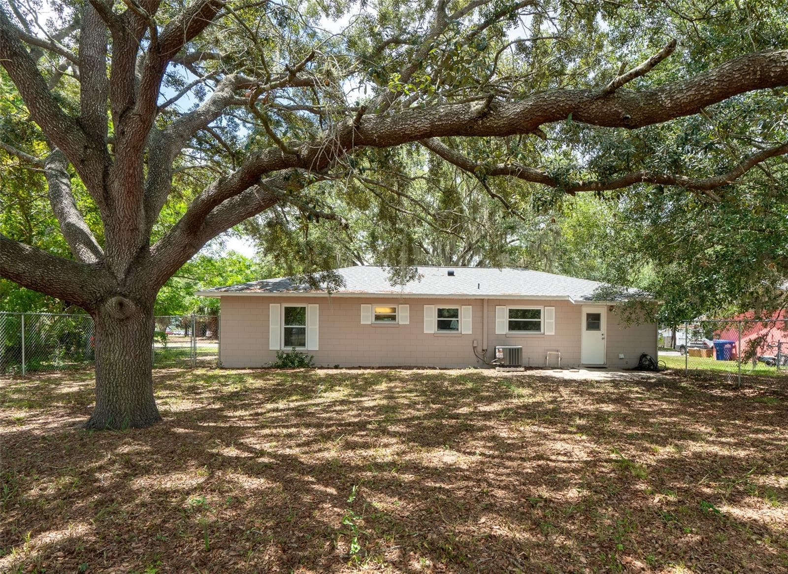 Backyard - 1049 BIRCH BLVD, TAVARES