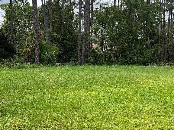 Single Family Residence at 70 ROLLINS LN, PALM COAST, photo 19 of 20