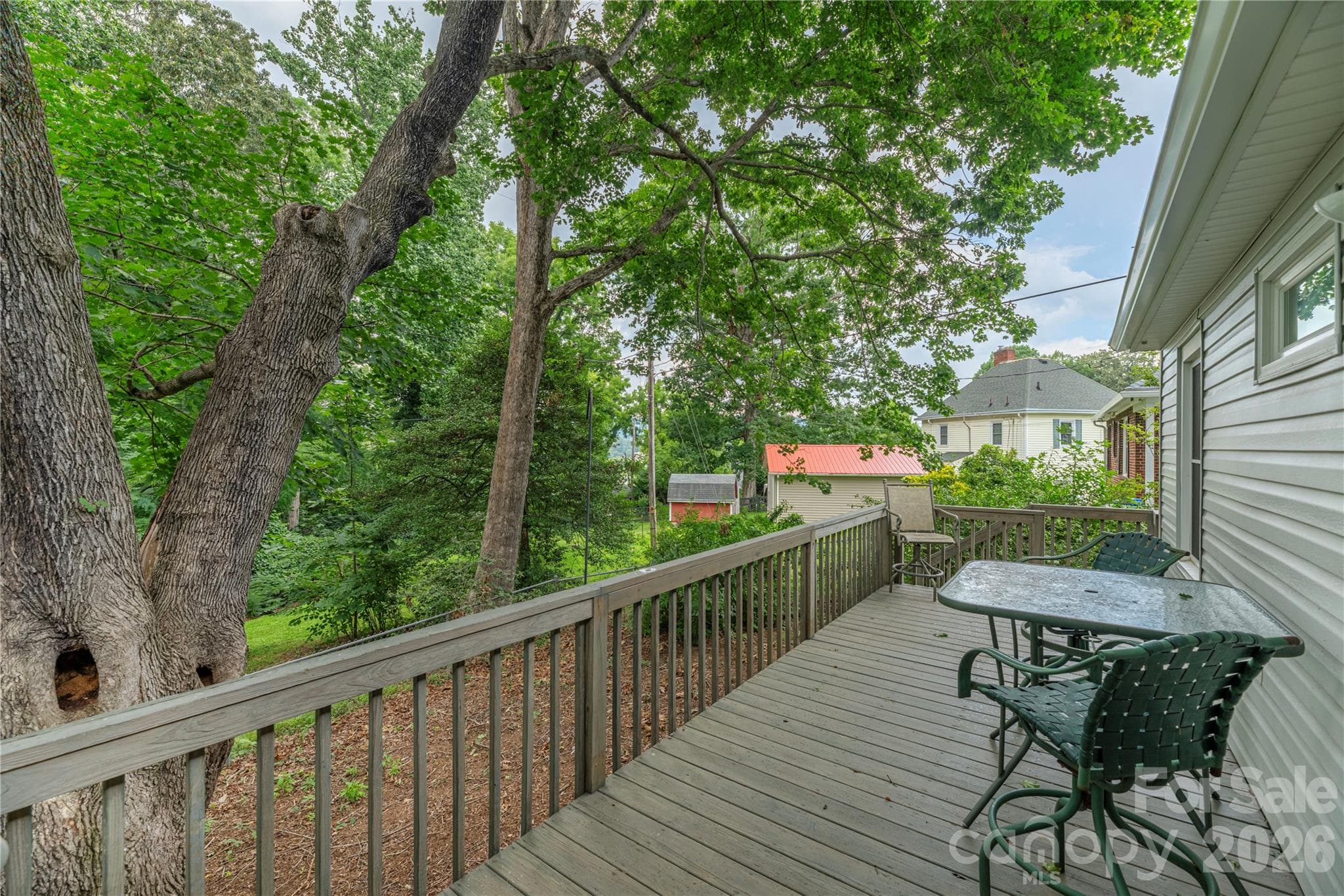 Mature trees - 3 Enka Oak Street, Candler